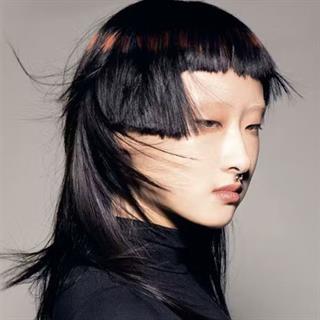 Image for Custom: Salon Creative 3 Day